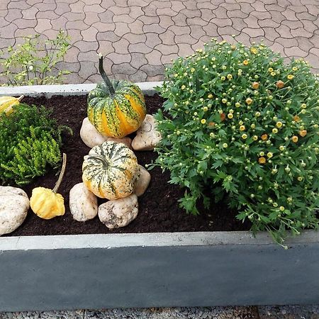 Ferienwohnung "Auszeit" Hofheim in Unterfranken المظهر الخارجي الصورة